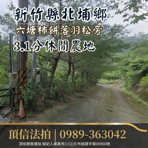 新竹北埔農地法拍-1