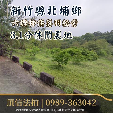 新竹北埔農地法拍-2