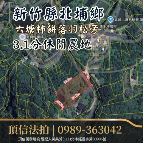 新竹北埔農地法拍-3