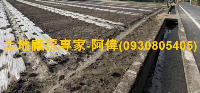 高雄大寮農地-1