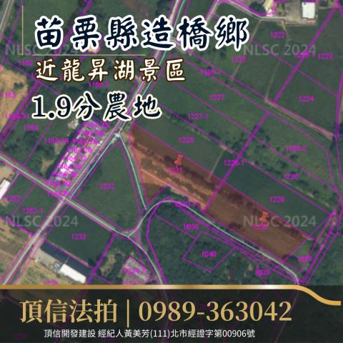 苗栗造橋法拍農地-3