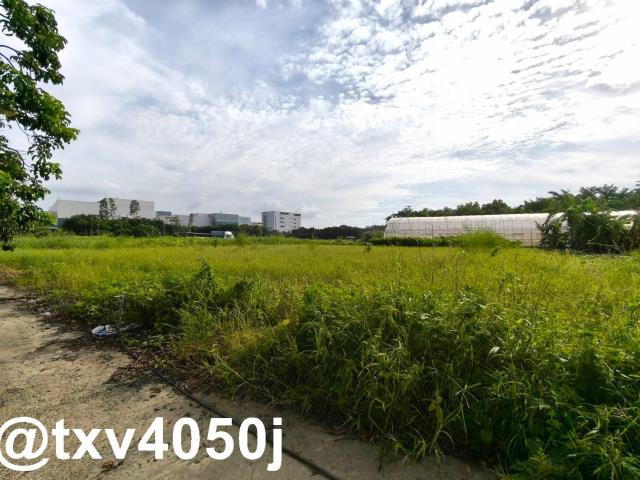台南新市農地-3
