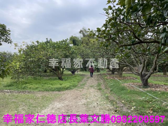麻豆農地-12