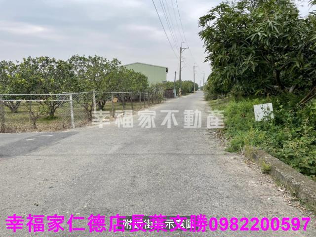 麻豆農地-13