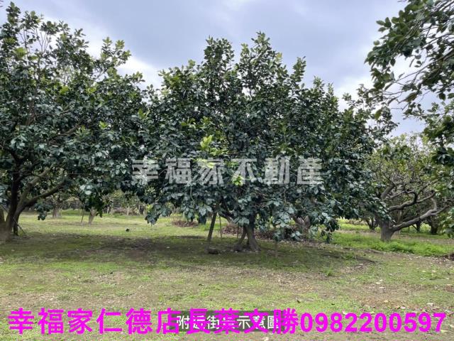 麻豆農地-2