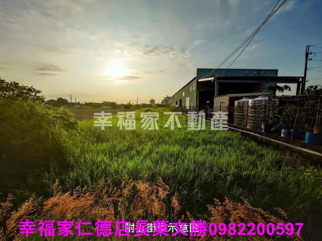 安定農地-14