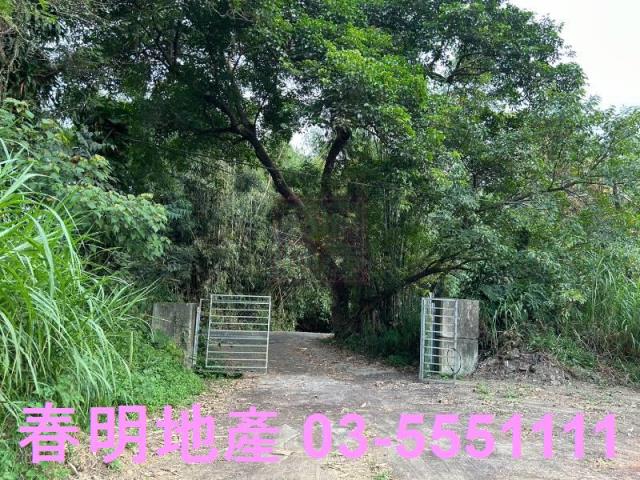 關西農地-5
