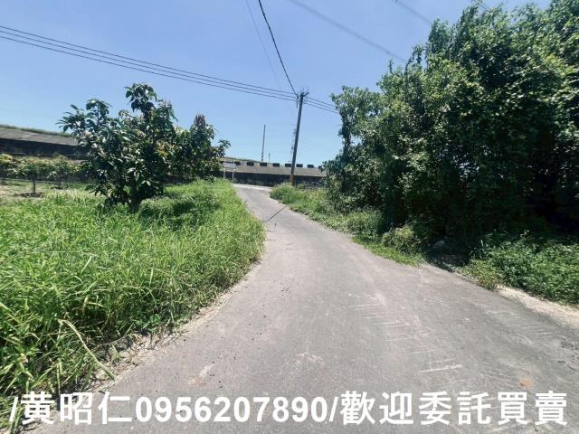 麻豆農地-13