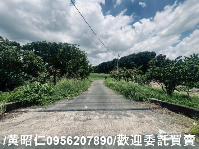麻豆農地-15