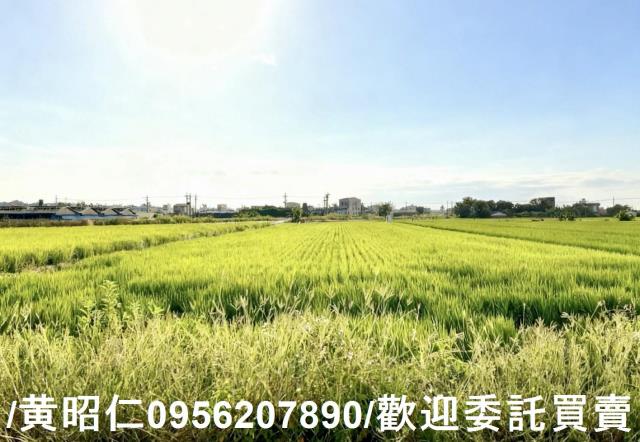 柳營農地-4