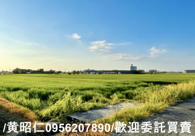 柳營農地-7