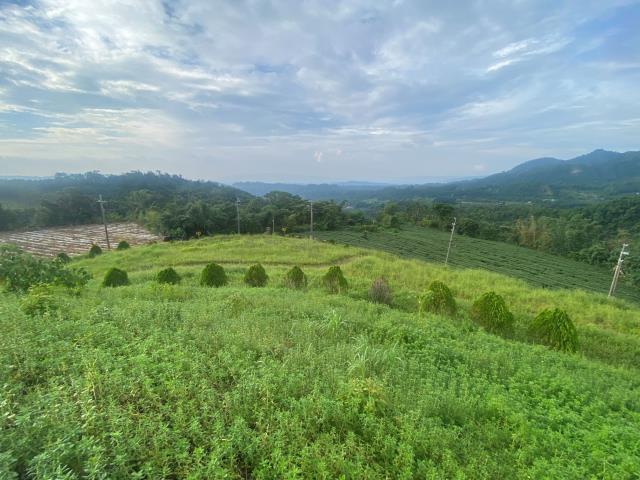 南投竹山農地-4