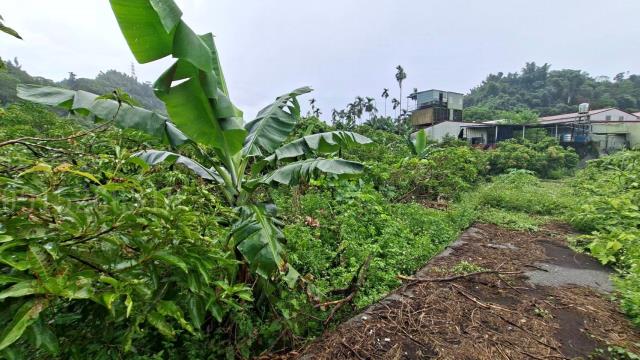 嘉義梅山農地-11