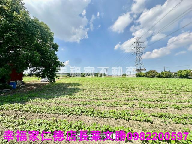 善化農地-3