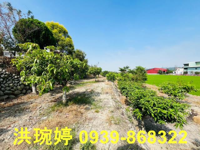 草屯農地-6