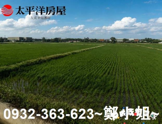桃園農地-4
