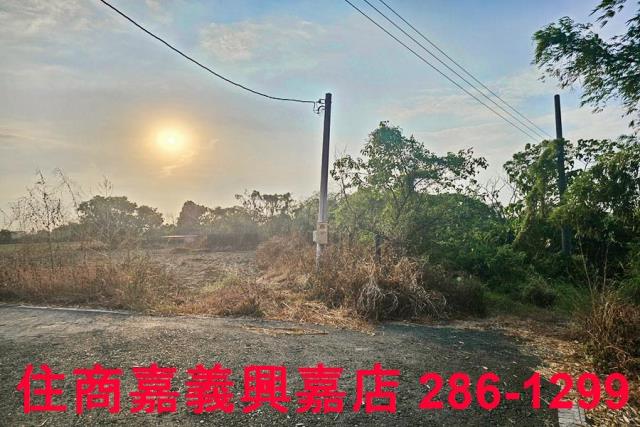嘉義農地-3