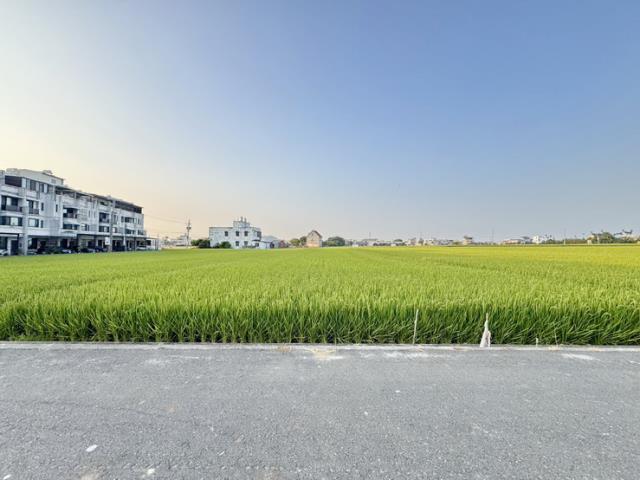 南投農地-4