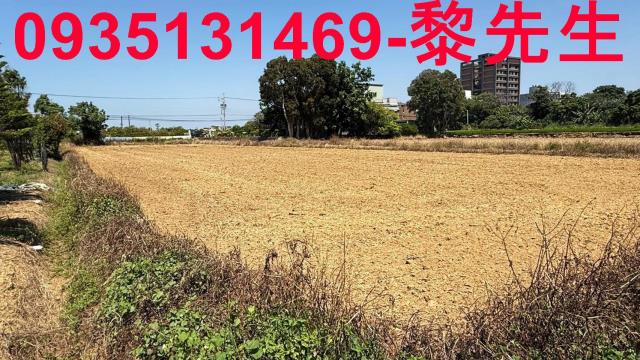 桃園楊梅農地-1