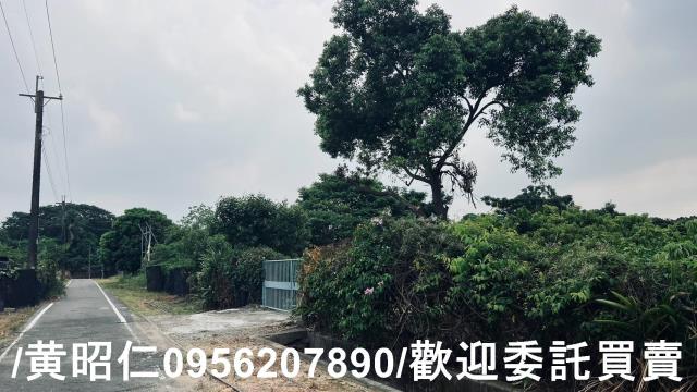 台南歸仁農地-10