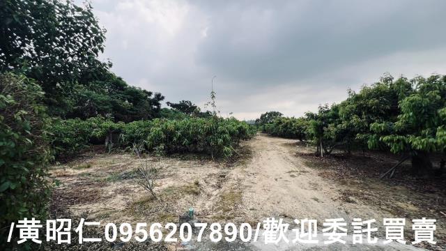 台南歸仁農地-3