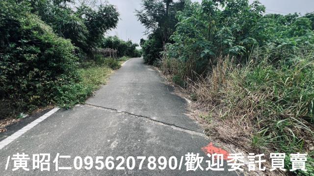 台南歸仁農地-12