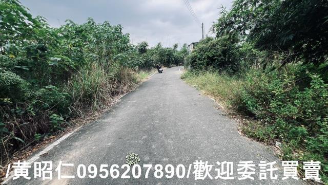 台南歸仁農地-8