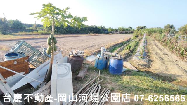 高雄梓官農地-4
