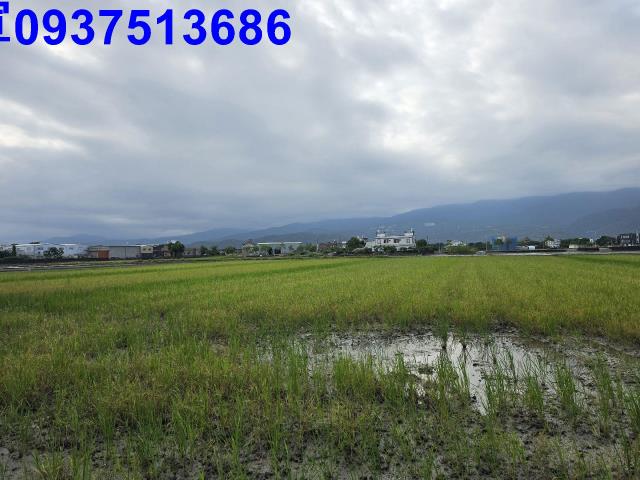 礁溪農地-15