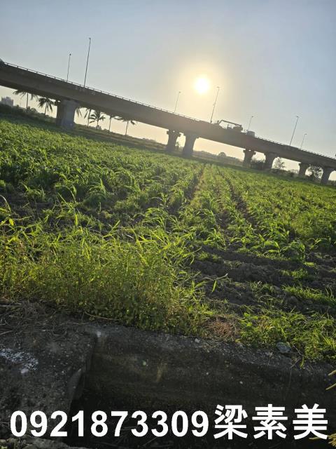 台南新市農地-8