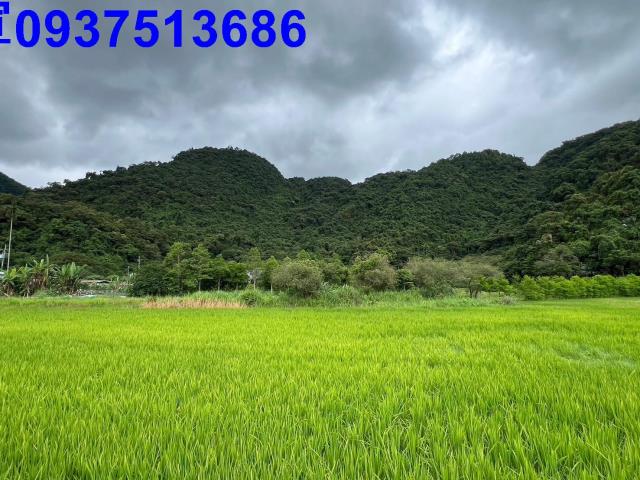 員山農地-4