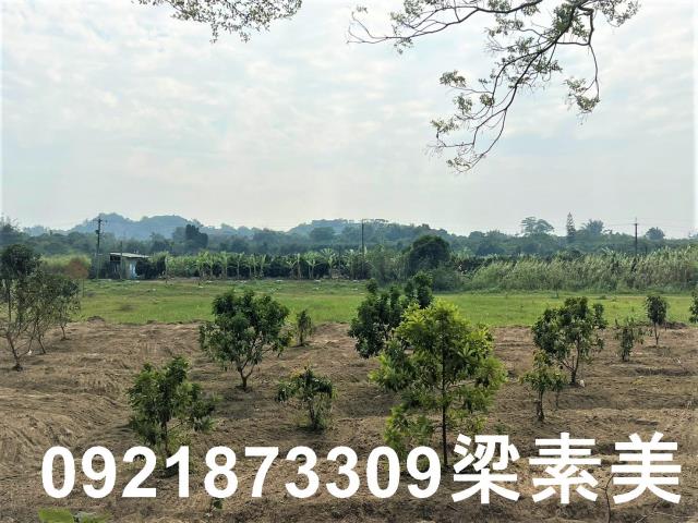 台南農地-5