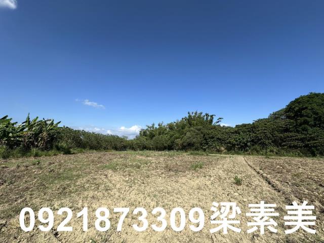 台南農地-5