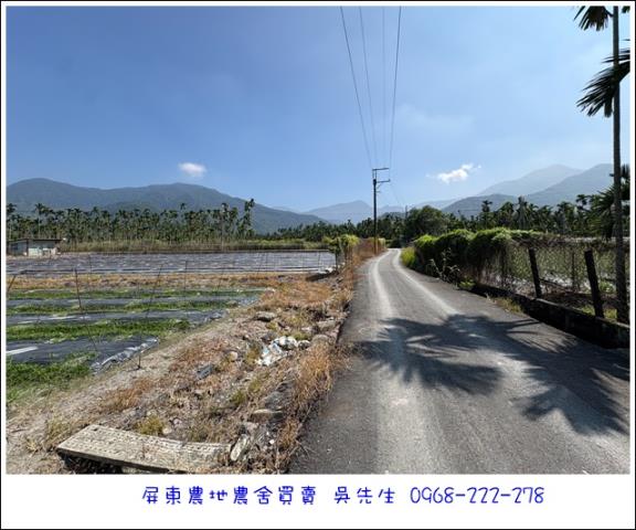 高樹農地-3