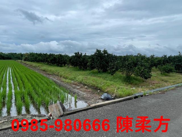 大林農地-8