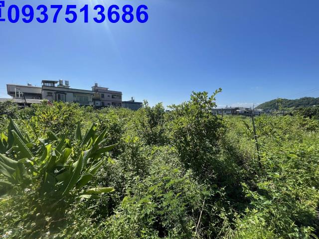 宜蘭農地-13