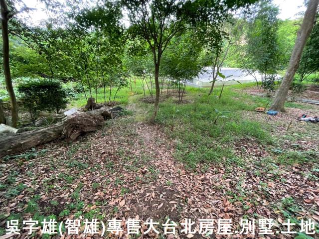 台北士林透天-10