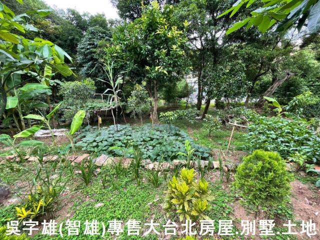 台北士林透天-12
