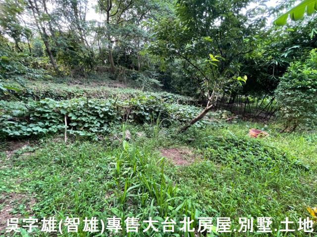 台北士林透天-3