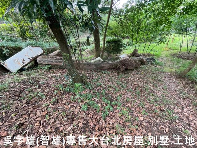 台北士林透天-9