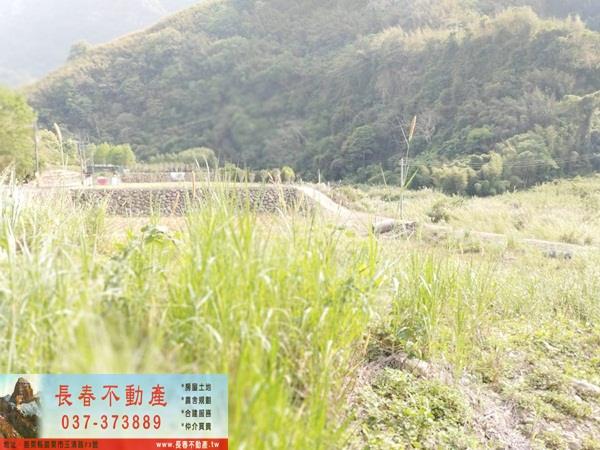 苗栗廠辦-6