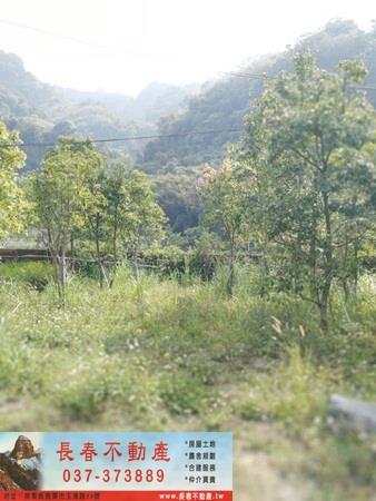 苗栗廠辦-8