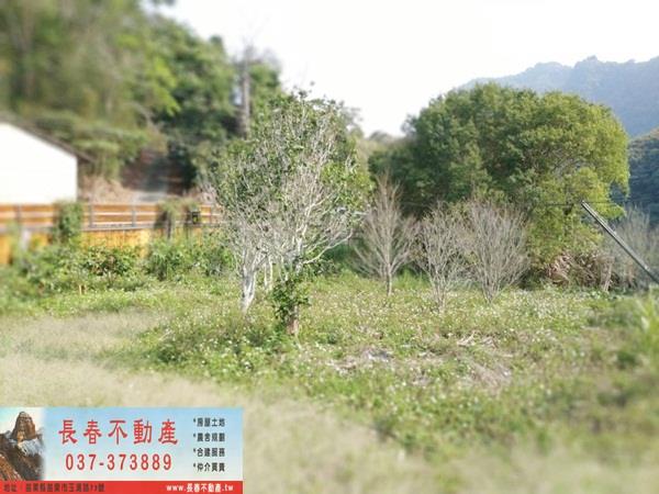 苗栗廠辦-9