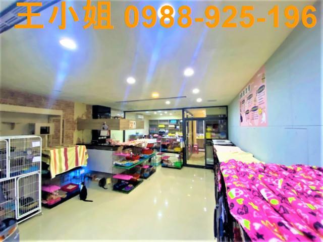 桃園桃園區公寓-2