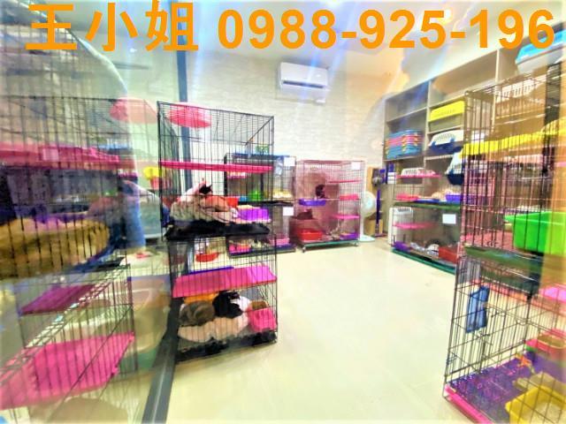 桃園桃園區公寓-6