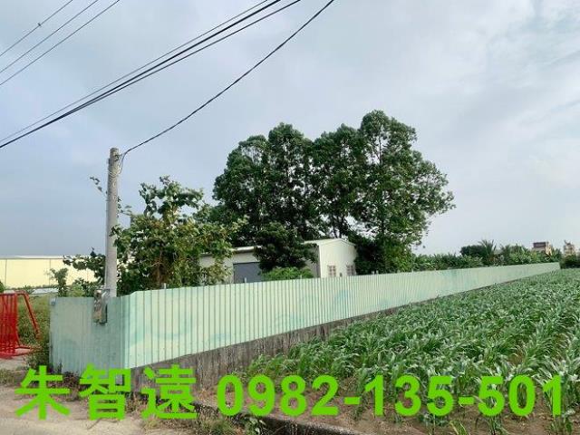 台南善化農作室-5