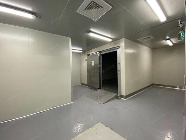 桃園大園廠房-3