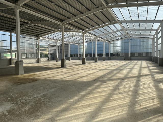 蘆竹廠房-4