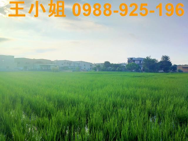 桃園八德農舍-5