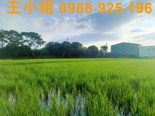 桃園八德農舍-6